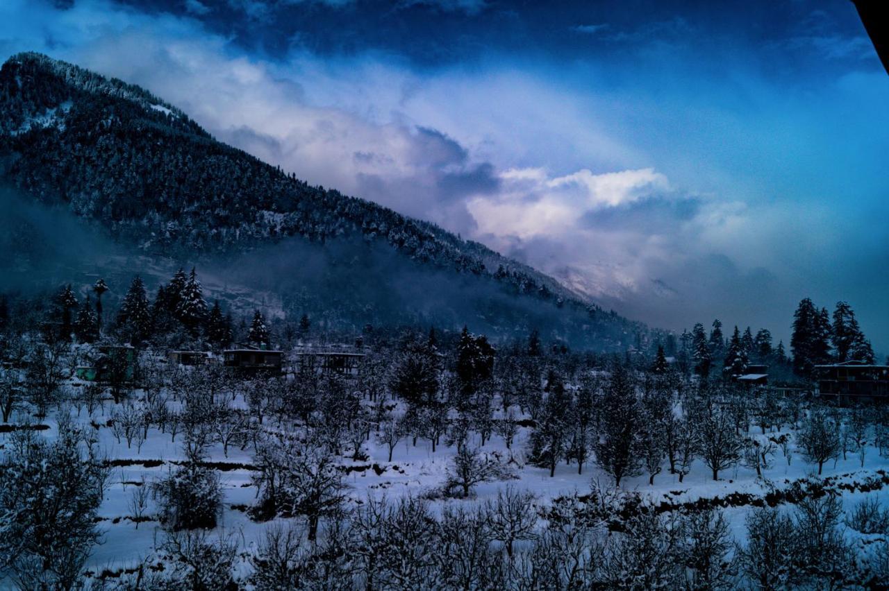 Alt Life - Manali Hostel Eksteriør bilde
